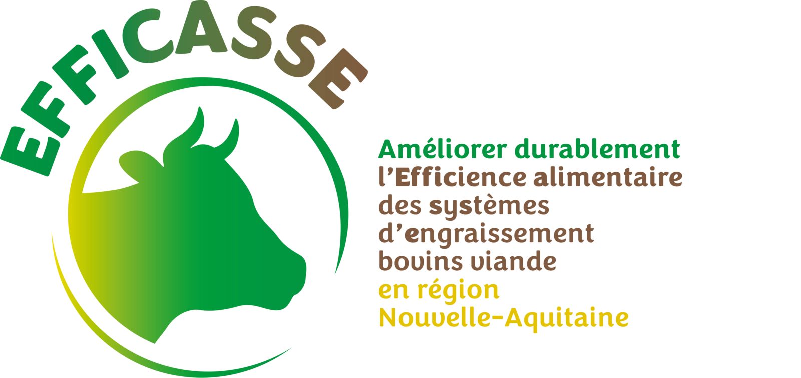 Efficasse (2024-2027)